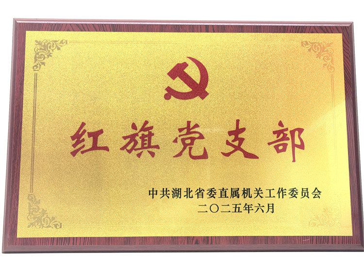 喜报！知音传媒集团教育公司党支部获评省直机关“红旗党支部”